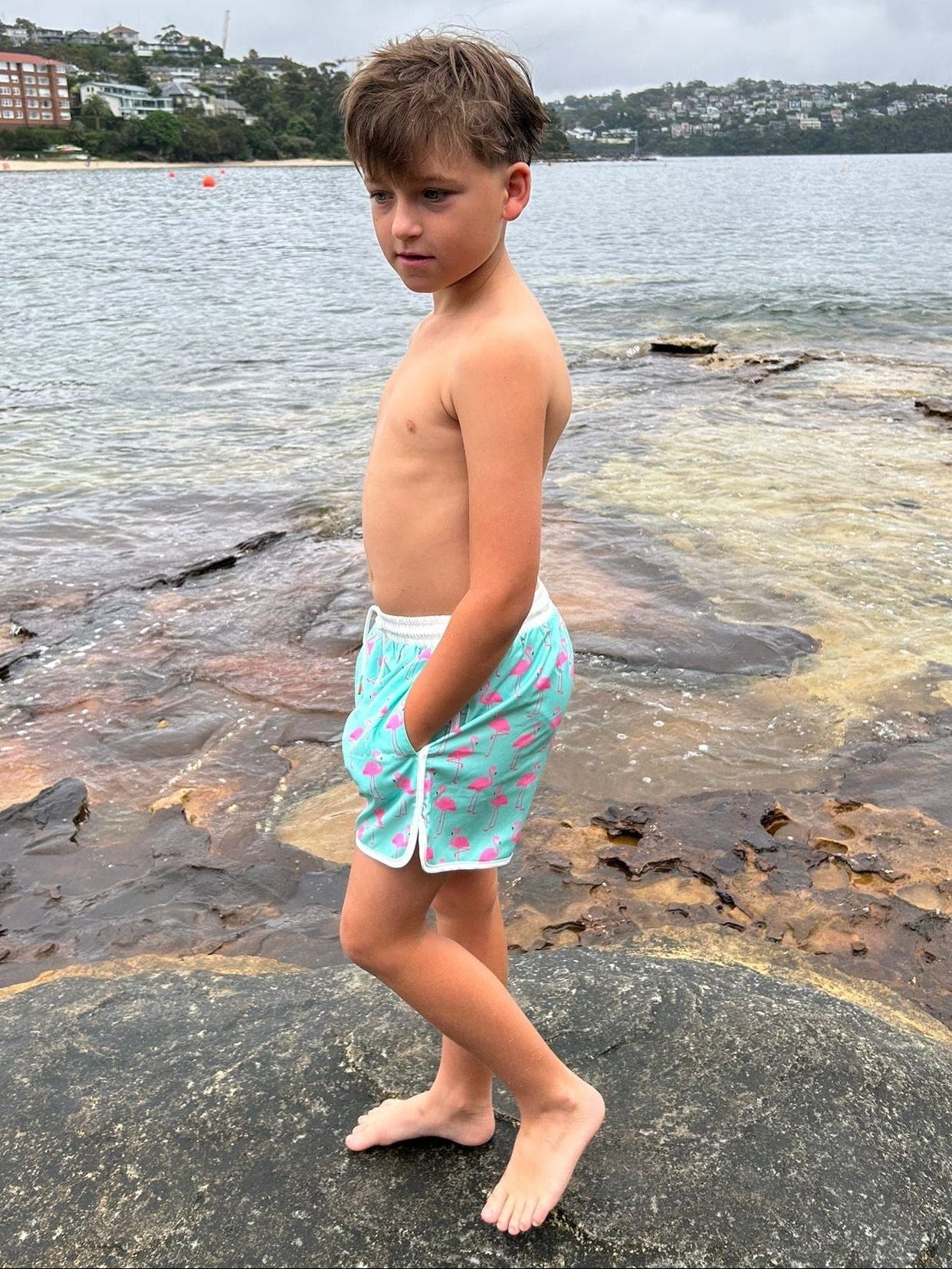 Boys swim shorts with flamingo pattern